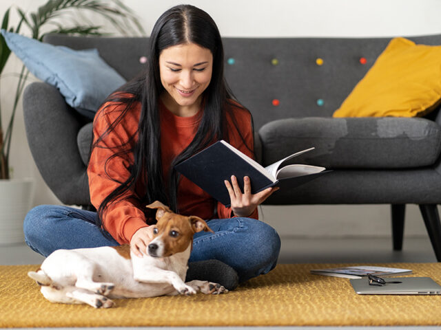 5 Reasons to Hire a Small Animal Sitter