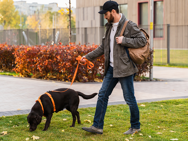 Blog Details Who Should I Choose